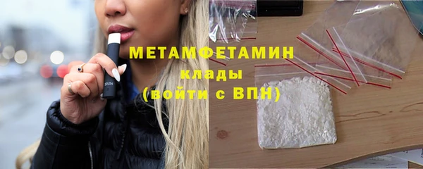 прущие грибы Вязники