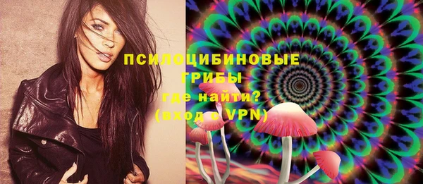 мдпв Верея